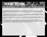 Voorbeeld foto website over NY